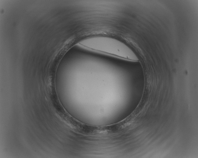 X0000074340260200608251053