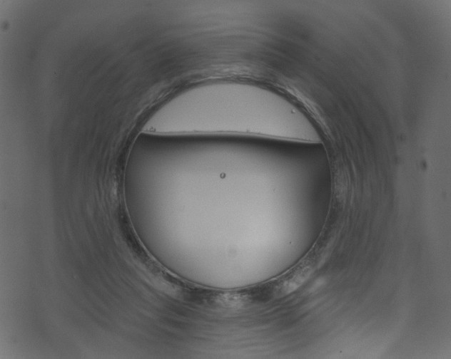 X0000074340261200608251053