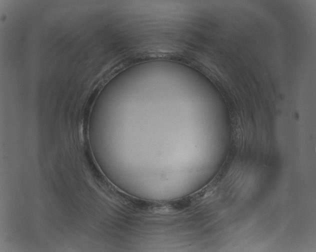 X0000074340262200608251053