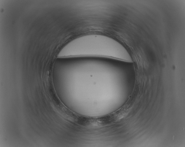 X0000074340263200608251053