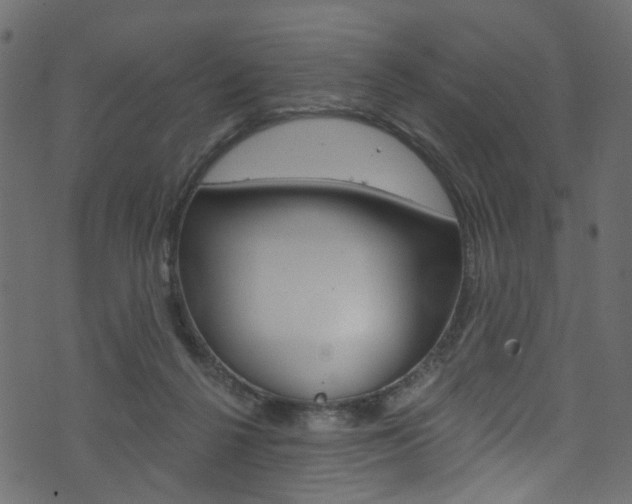 X0000074340264200608251053