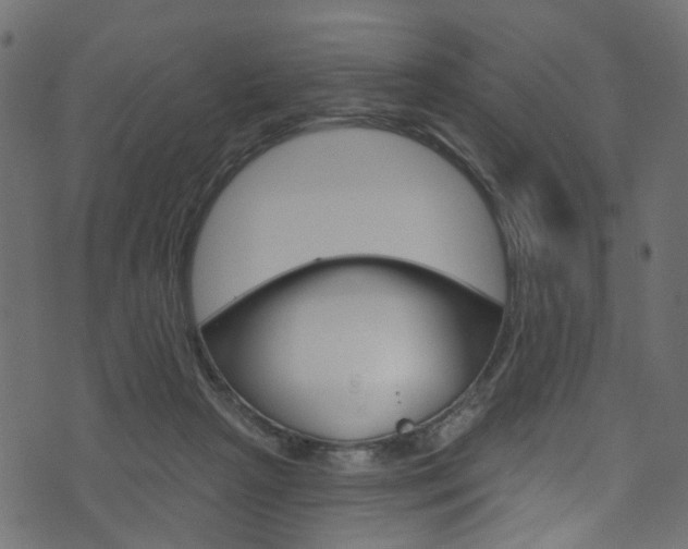 X0000074340265200608251053