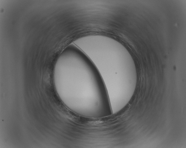 X0000074340266200608251053