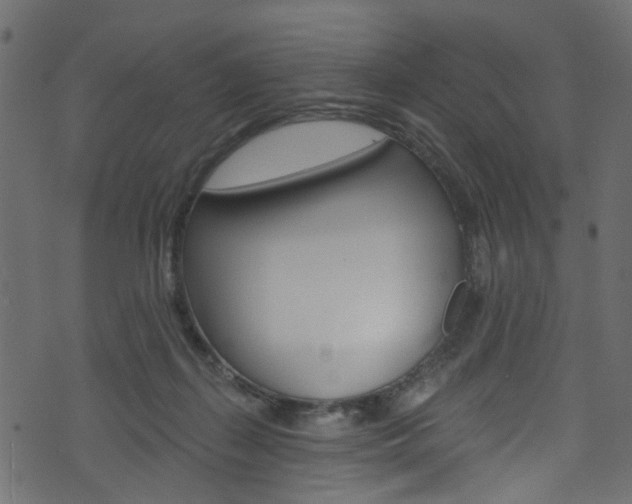 X0000074340267200608251053