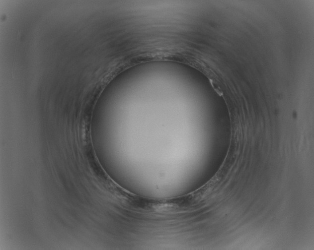 X0000074340268200608251053