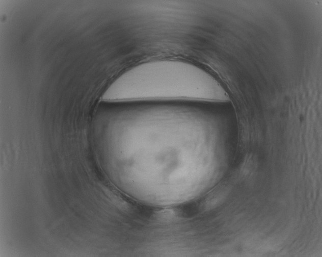 X0000074340269200608251053