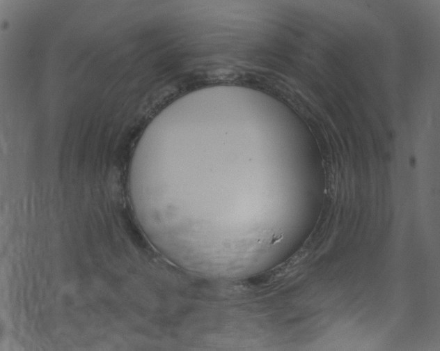 X0000074340270200608251053