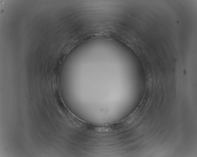 X0000074340272200608251053