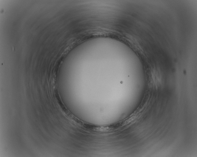 X0000074340273200608251053