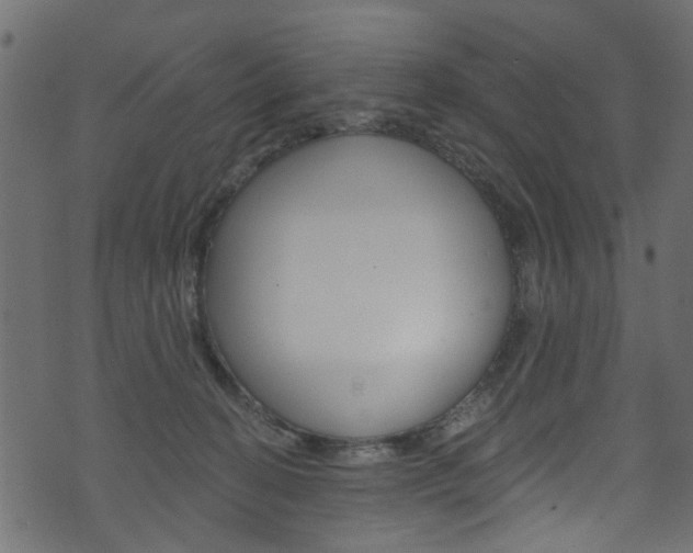 X0000074340274200608251053