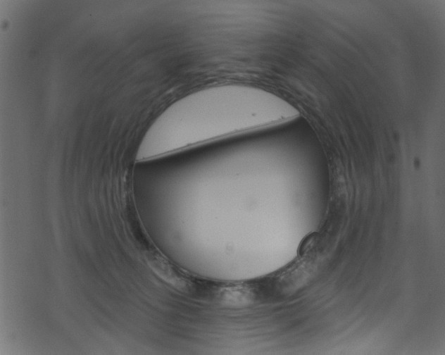 X0000074340275200608251053