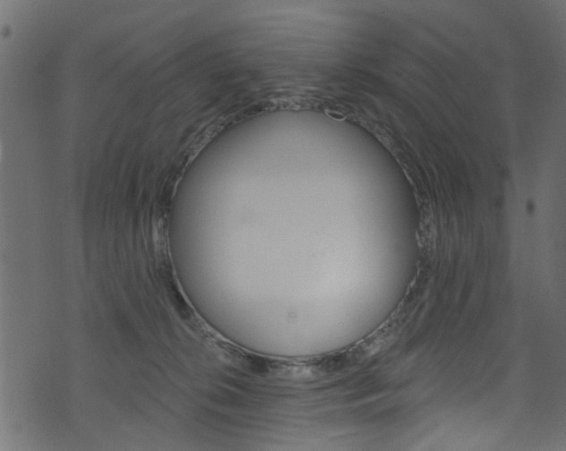 X0000074340276200608251053