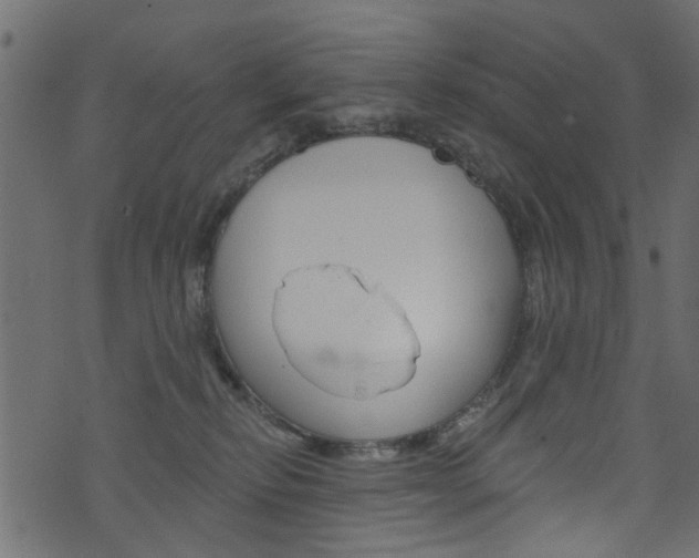 X0000074340278200608251053