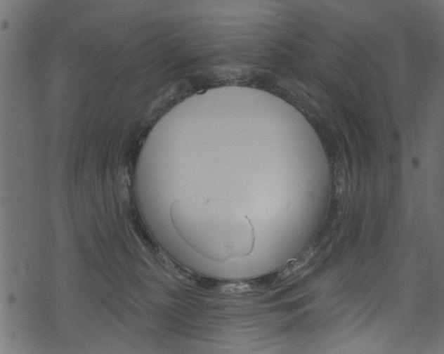 X0000074340279200608251053