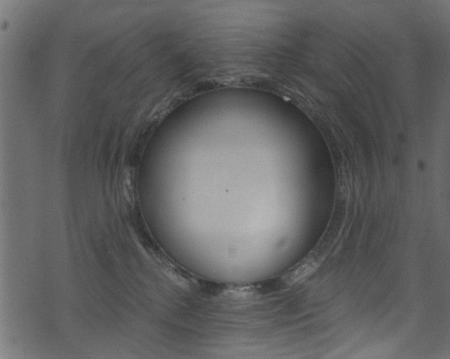 X0000074340280200608251053