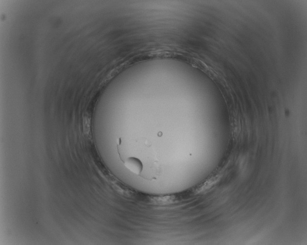 X0000074340281200608251053