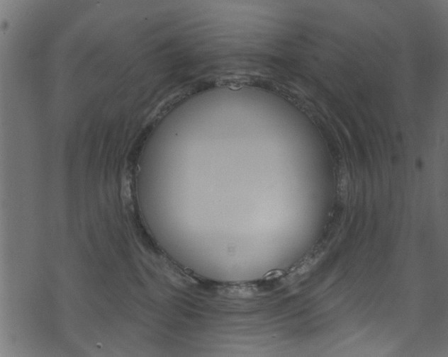 X0000074340282200608251053