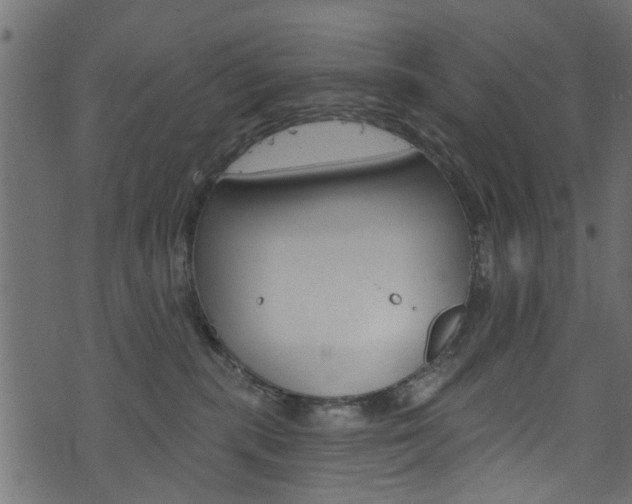 X0000074340283200608251053