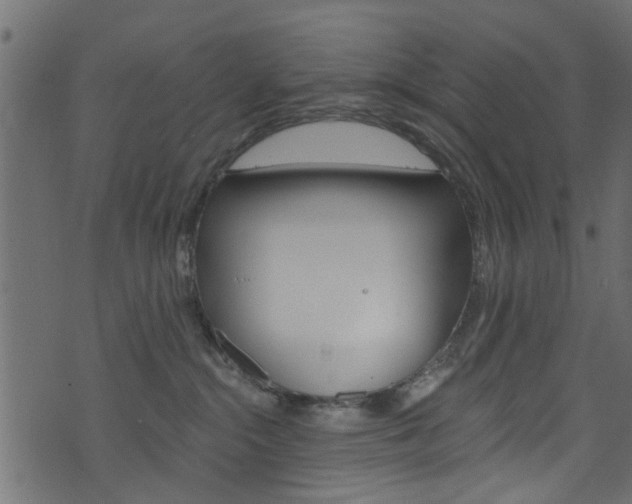 X0000074340284200608251053