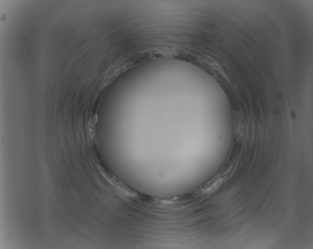 X0000074340285200608251053