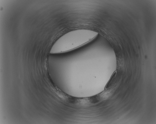 X0000074340286200608251053