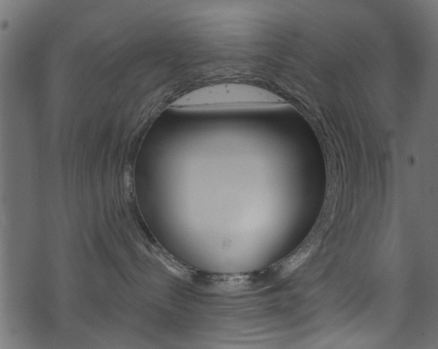 X0000074340288200608251053