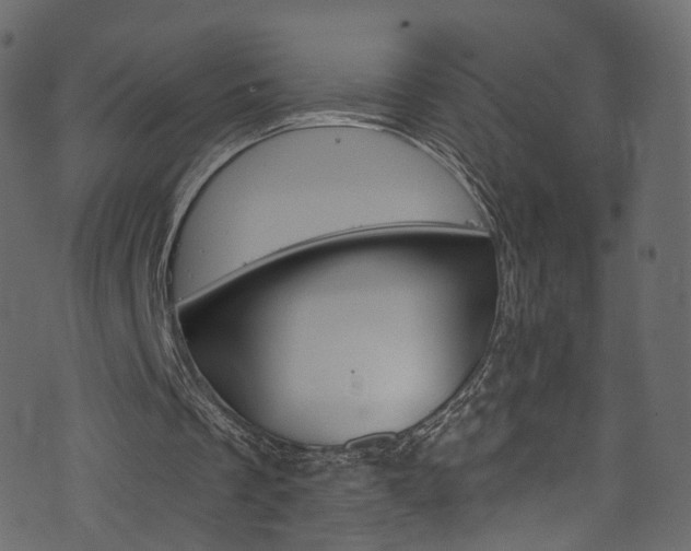 X0000074340289200608251052