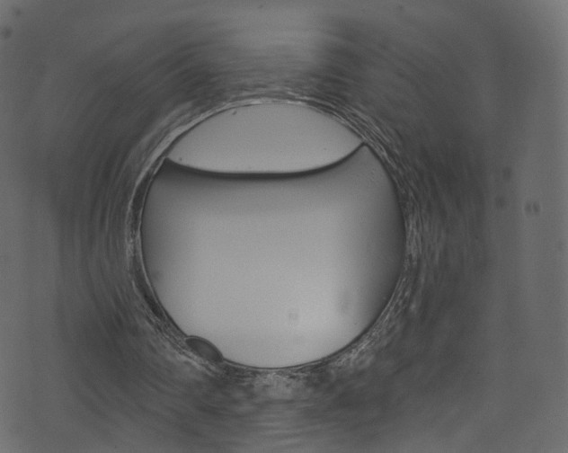 X0000074340290200608251052