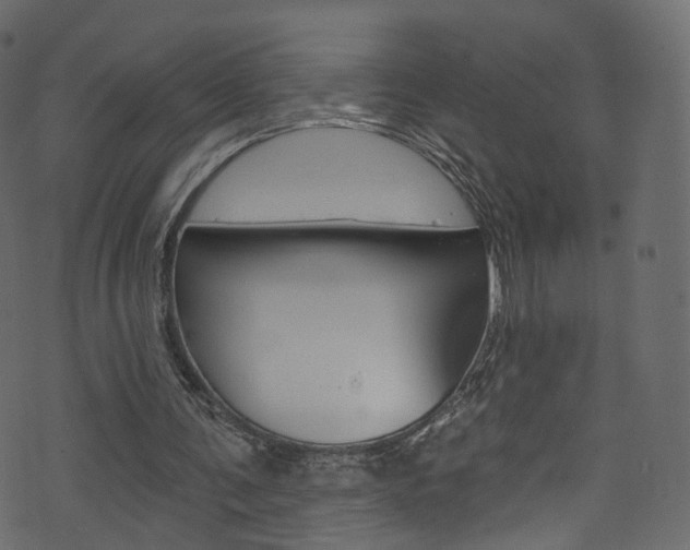 X0000074340291200608251052