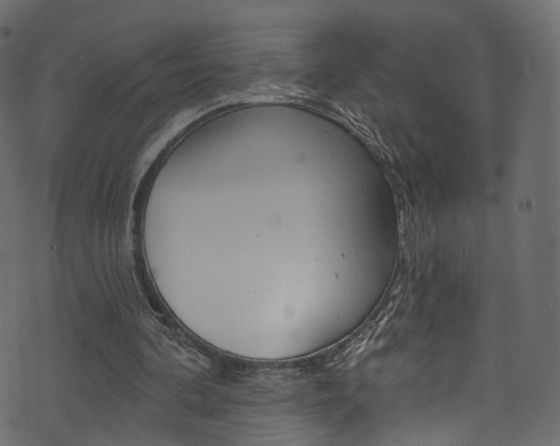 X0000074340292200608251052