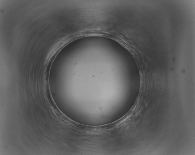 X0000074340293200608251052