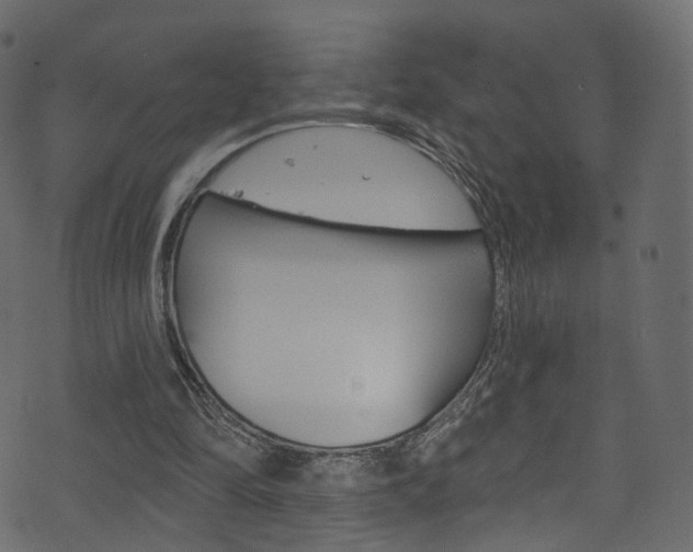 X0000074340294200608251052