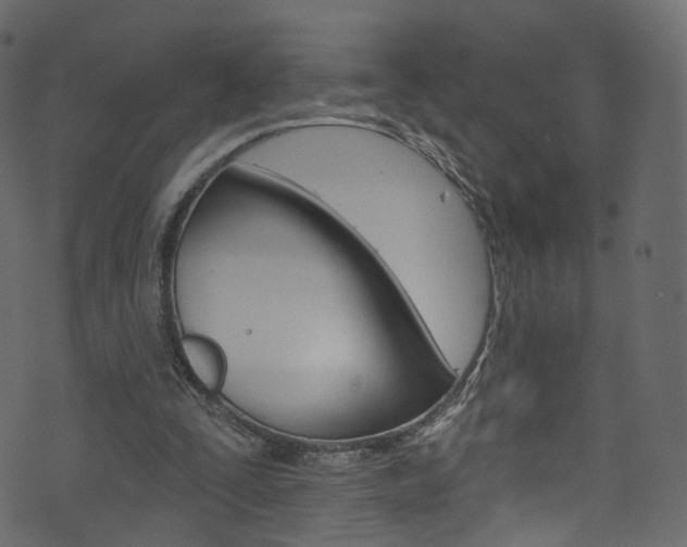 X0000074340295200608251052