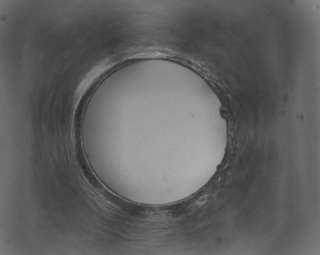 X0000074340296200608251052