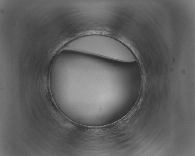 X0000074340297200608251052