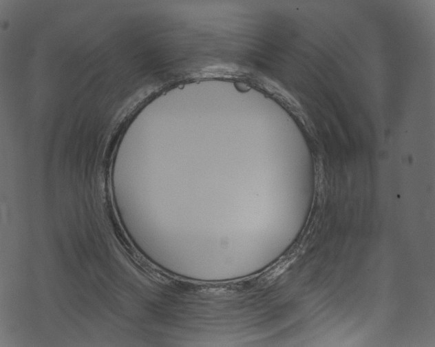 X0000074340298200608251052