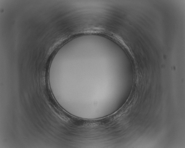 X0000074340299200608251052