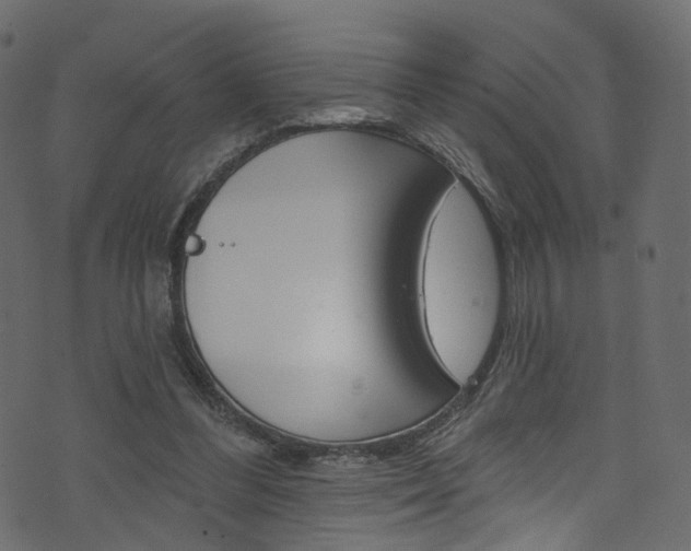 X0000074340300200608251052