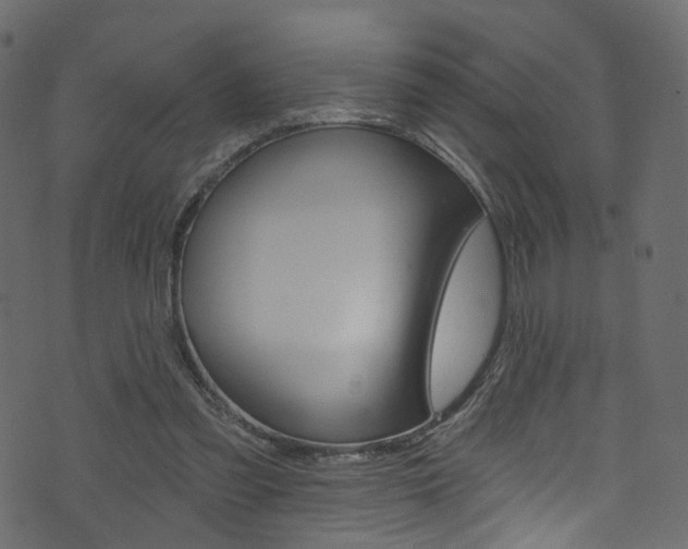 X0000074340301200608251052