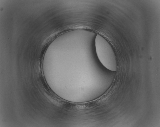 X0000074340302200608251052