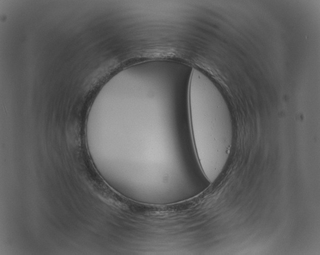 X0000074340303200608251052