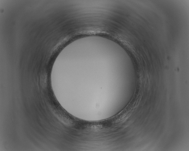 X0000074340304200608251052