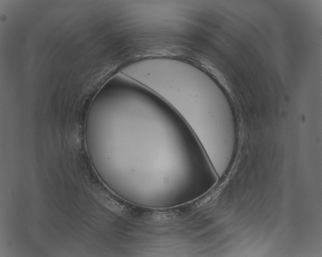 X0000074340305200608251052