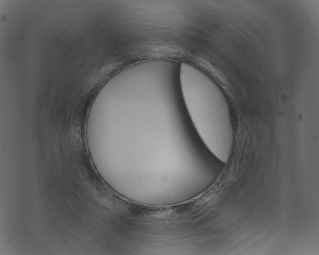 X0000074340306200608251052