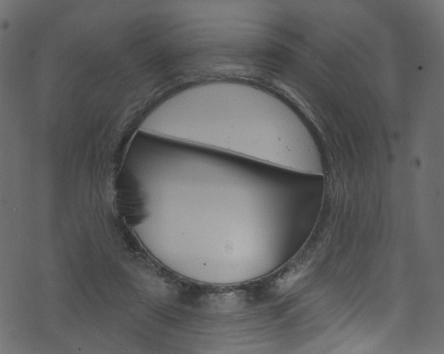 X0000074340307200608251052