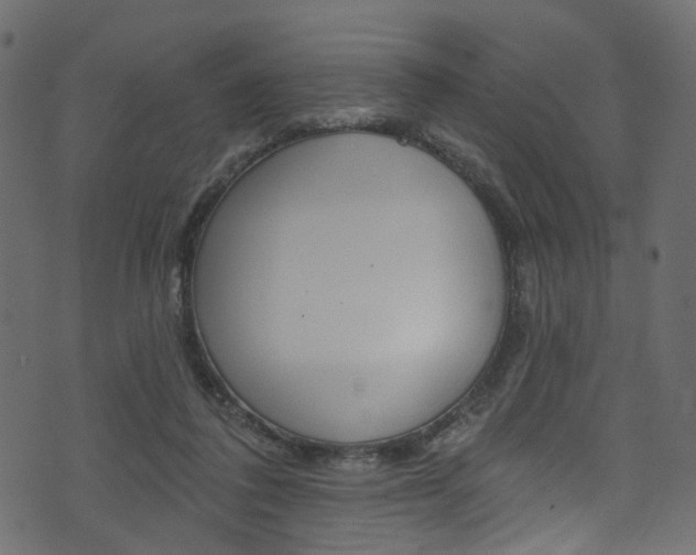 X0000074340308200608251052