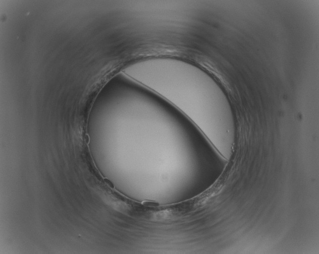 X0000074340309200608251052