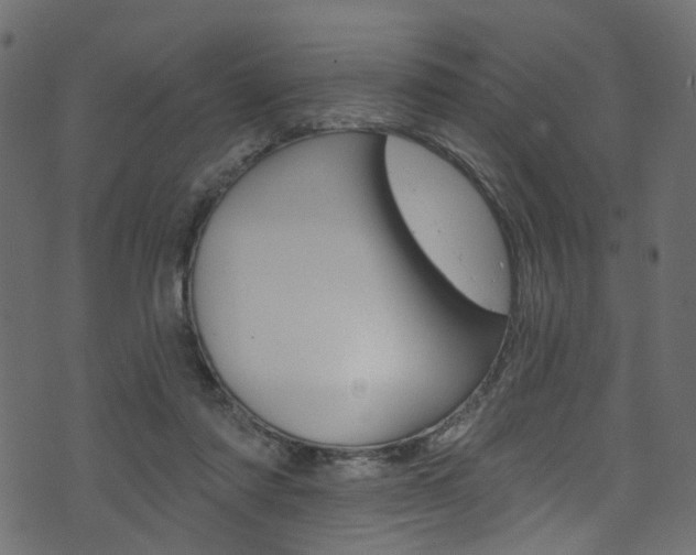 X0000074340310200608251052