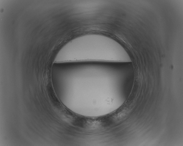 X0000074340311200608251052