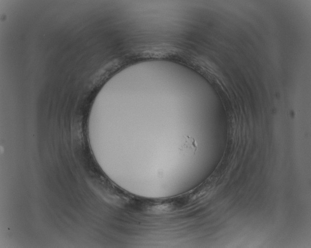 X0000074340312200608251052